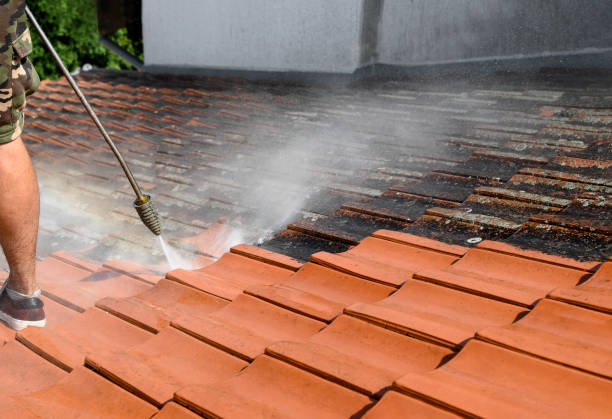 Trusted Sandoval, IL Pressure Washing Experts