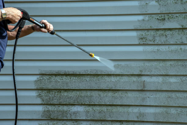 Best Sidewalk Pressure Washing  in Sandoval, IL