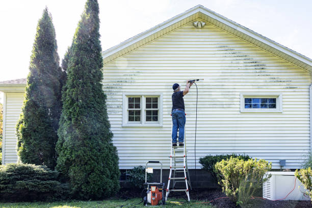 Best Deck Pressure Washing  in Sandoval, IL