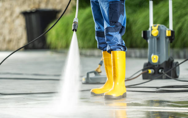 Best Deck Cleaning Services  in Sandoval, IL