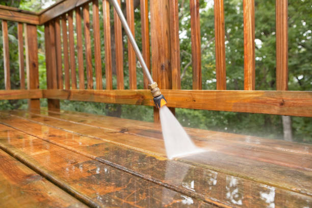 Best House Pressure Washing  in Sandoval, IL